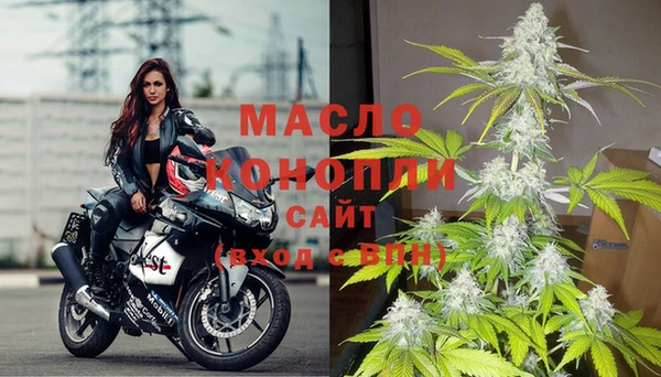 прущие грибы Приозерск