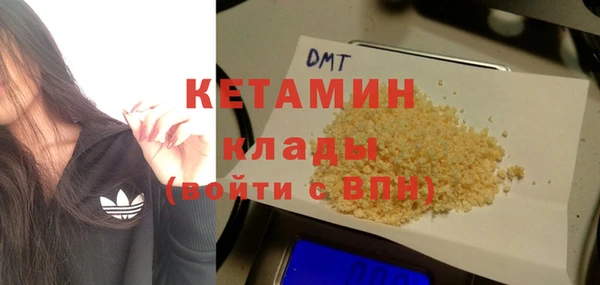 прущие грибы Приозерск