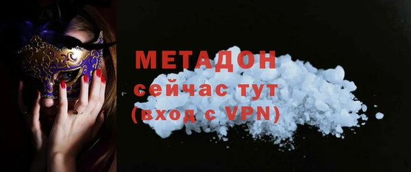 прущие грибы Приозерск