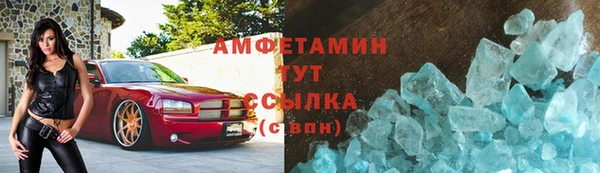 прущие грибы Приозерск