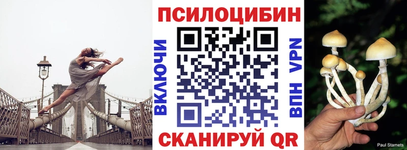 KRAKEN ССЫЛКА  закладки  Кадников  Псилоцибиновые грибы прущие грибы 